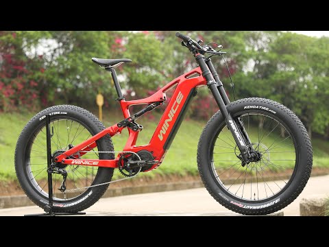 DengFu E56 Fat E-bike economical real photo