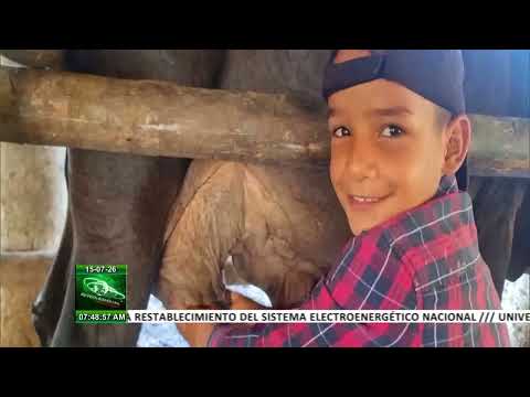 Ganaderos pinareños, un ejemplo que guía
