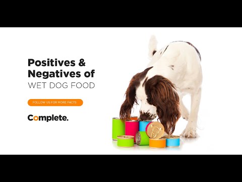 The Pros and Cons of Wet Canned Dog Food