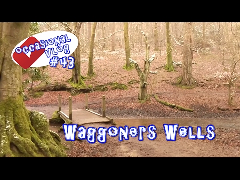 A Winters Walk 2017, Waggoners Wells. Occasional Vlog #43
