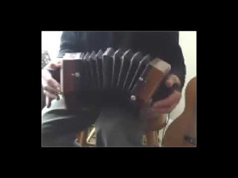 Down in the Sally Gardens