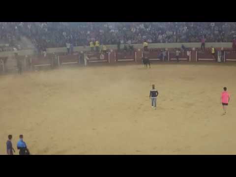 Capea de torres de la alameda 2016 encierro nocturno