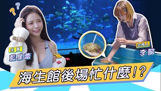 李懿與星蕾夢幻海生館後場初體驗!?