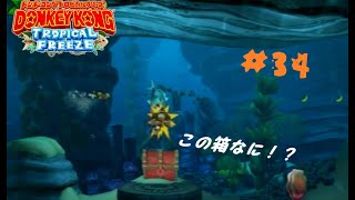 【ドンキーコングＴＦ】4－B「ノーブレス！海底迷路」