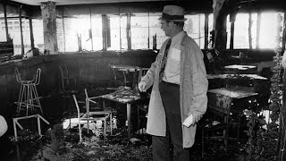 Crime Wave:18 Months of Mayhem