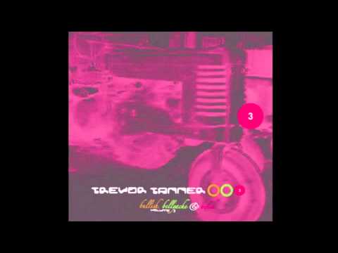 Trevor Tanner - Yer Dreams