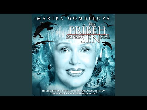 Ten pribeh za nas sen stal (Instrumental)