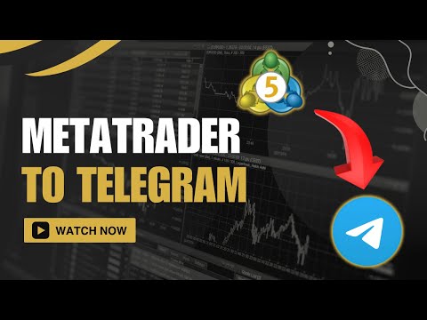 Video MT4 to Telegram Signal Provider