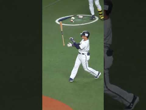 ファニキア・セリカタ