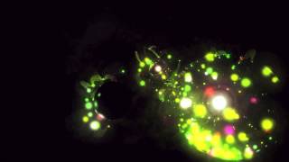 Max Richter - On The Nature Of Daylight