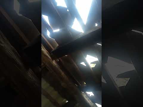 cum a distrus gheata in Maramureș