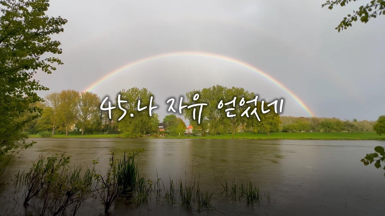 나자유얻었네