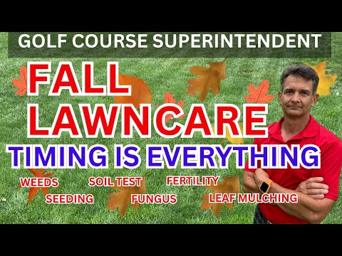 Your Ultimate Fall Lawn Care Checklist