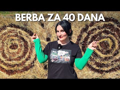 FAST GROWING in Circular Models