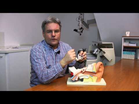 The cause of positional vertigo - Getting rid of positional vertigo (5/17)