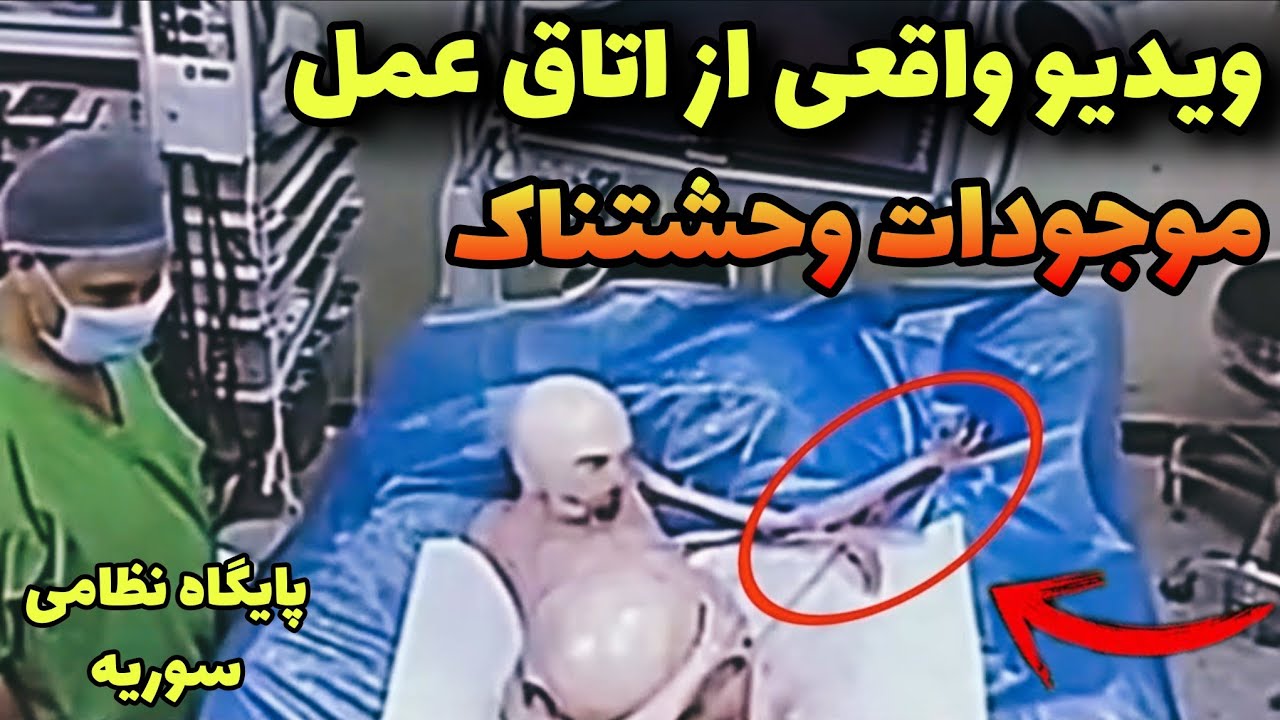 تا به چشم خودتون نبینید باور نمیکنید تو پایگاه های نظامی آمریکای نگه داریش می