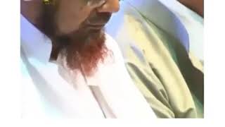 Download lagu Lawkana bainanal habib mp3