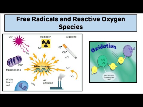 Free Radicals and Reactive Oxygen Species (ROS) || Introduction to Free Radicals