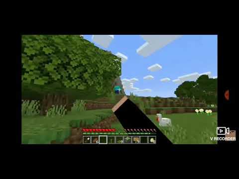 Mutant Creatures in minecraft coffin dance