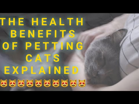 The health benefits of petting cats explained.  amazing cat ownership benefits.