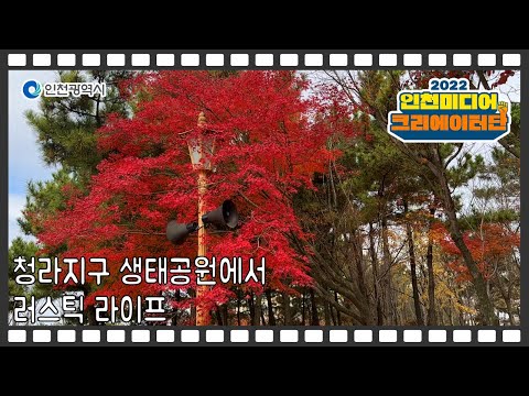 청라지구 생태공원에서 러스틱 라이프
