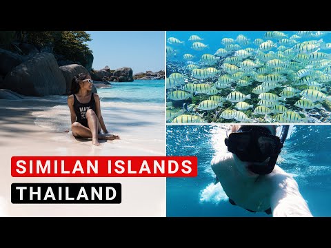 Similan Islands Tour (Ausflug in das Inselparadies Thailands - Lohnt es sich?)