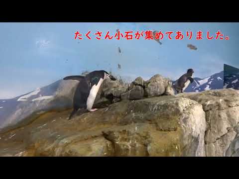 IUCN分類における絶滅の危険性を示す図。