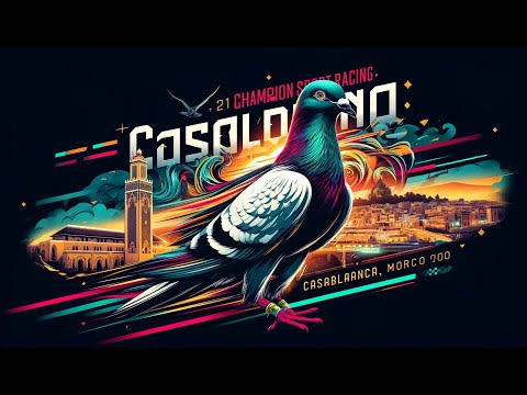 Loft Mellak Y&S 15.01.2023