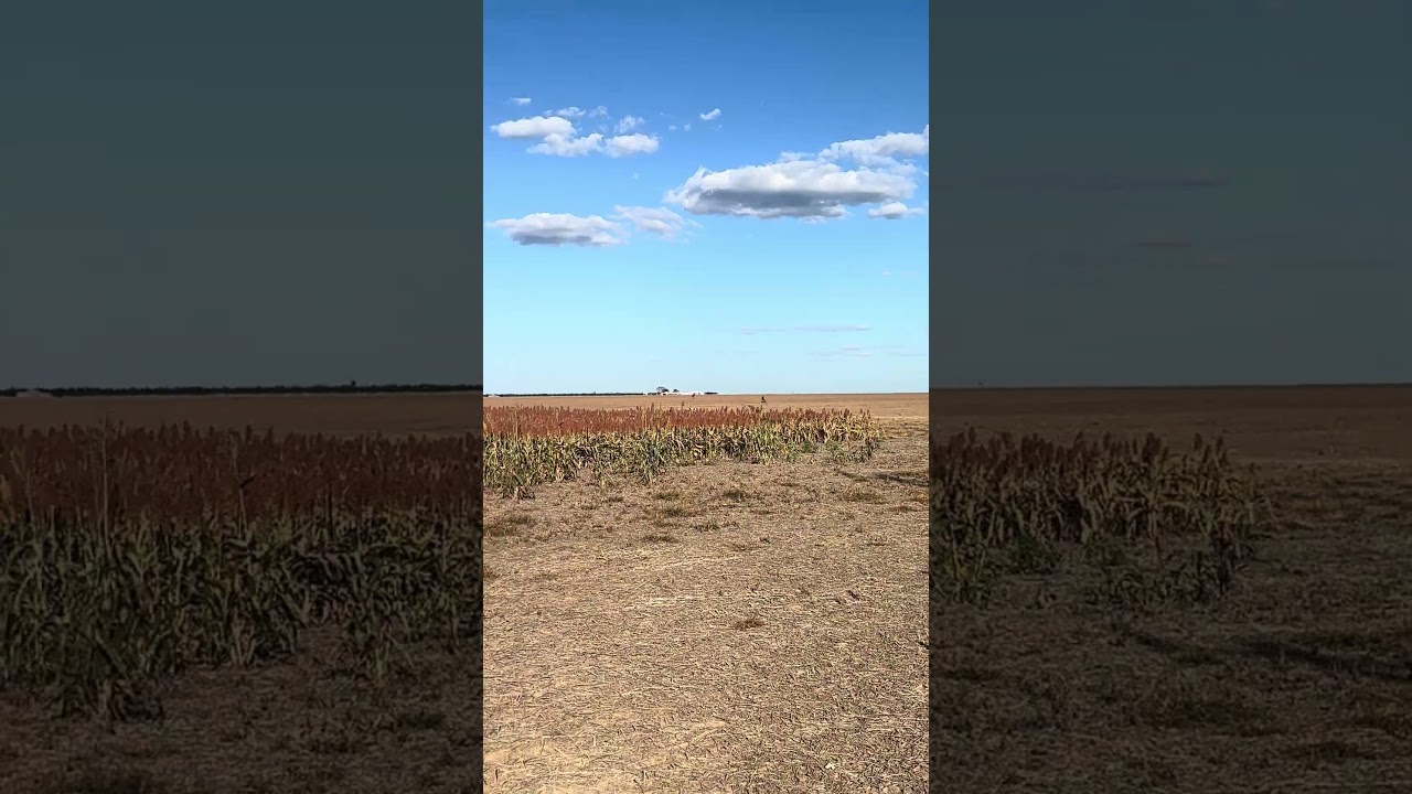 Planície do Oeste da Bahia