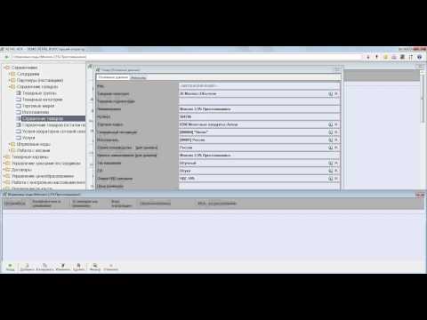 ДОМИНО 8. Торговля. Магазин - Курс оператора - Заполнение справочников товаров