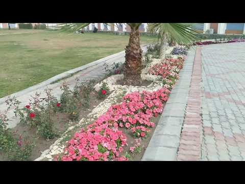 Beautiful Flowers Crabs || Phool || Flowers.