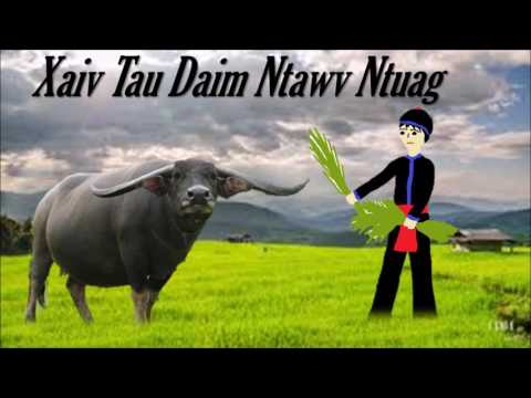 Xaiv Tau Daim Ntawv Ntuag