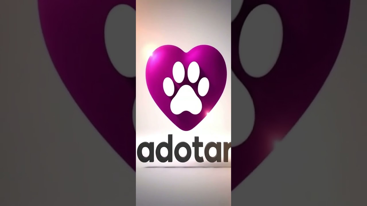 Gato raça SRD-ViraLata idade Abaixo de 2 meses nome Gatos