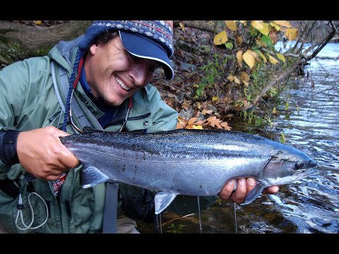 Fly Fishing East Coast Steelhead