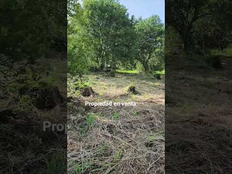 Finca en venta! ubicada en san Pedro Nonualco la paz el salvador 🇸🇻