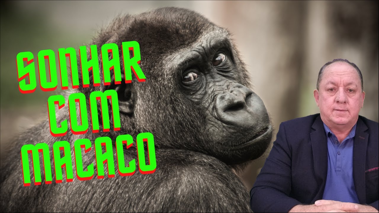 O QUE SIGNIFICA SONHAR COM MACACO
