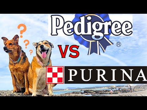 BEST DOG FOOD -  The TRUTH: Pedigree vs Purina - The 2 Largest Pet Food Companies