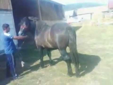 Manz semigreu 2 ani si jumatate