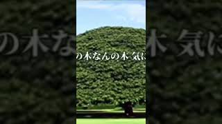 突然降りてきたので思わず作ってしまった　#やにねこ