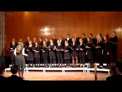 NSSS 2011 - Malmö Studentkör