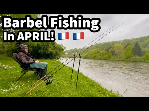SEARCHING for Barbel on the BIG & WILD River Vienne in France!