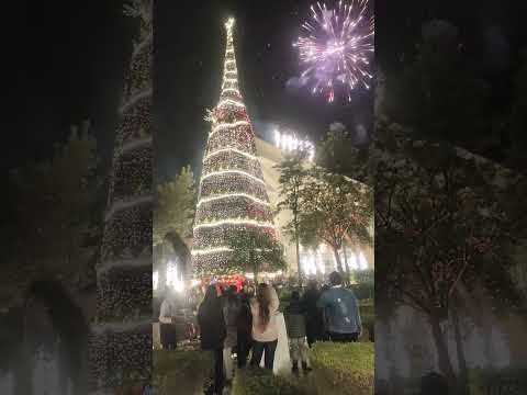 This hotel has India’s tallest Christmas treeTaj Aravali Resort & Spa, Udaipur’s landmark