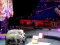 Ringling Bros And Barnum Bailey Circus Part 4
