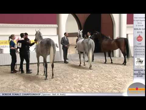 Berlin Cup 2015 - Senior Female Championship