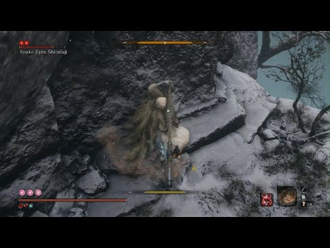 Sekiro snake eyes no damage