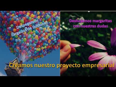 Seint, ilusión de un proyecto