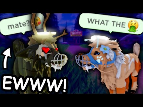 UNHINGED Roleplayer on A Wolves' Pack Alpha - Wolf RP Roblox