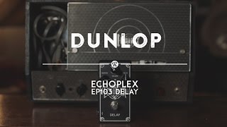 Dunlop EP103 Echoplex Delay and Preamp | Reverb Demo Video