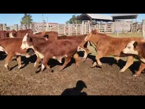 Feliciano, Entre Rios