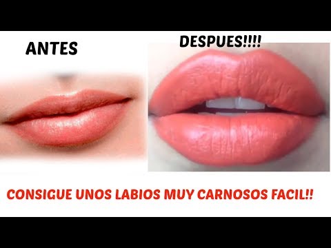 download lagu mp3 mp4 Labios Grandes, download mp3 Labios Grandes free download mp3, download mp3 Labios Grandes